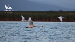 Λίμνη Βιστωνίδα