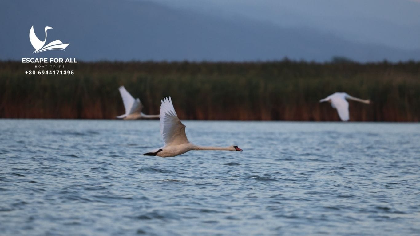 Λίμνη Βιστωνίδα